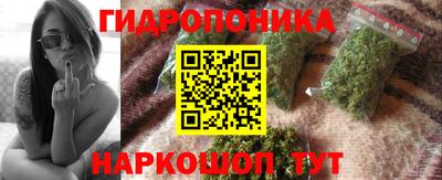 a pvp Можга