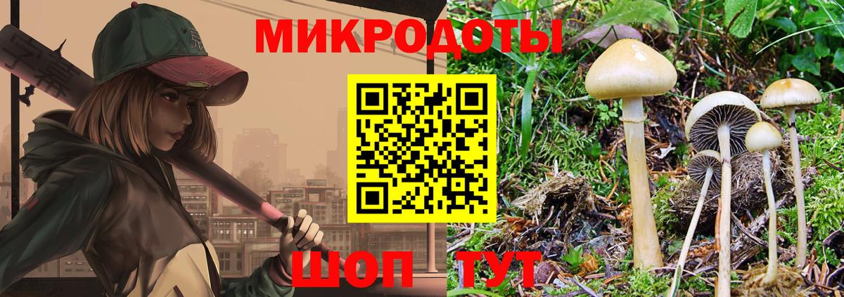 Галлюциногенные грибы GOLDEN TEACHER  Галлюциногенные грибы Psilocybine cubensis  Ханты-Мансийск  Вход с VPN 
