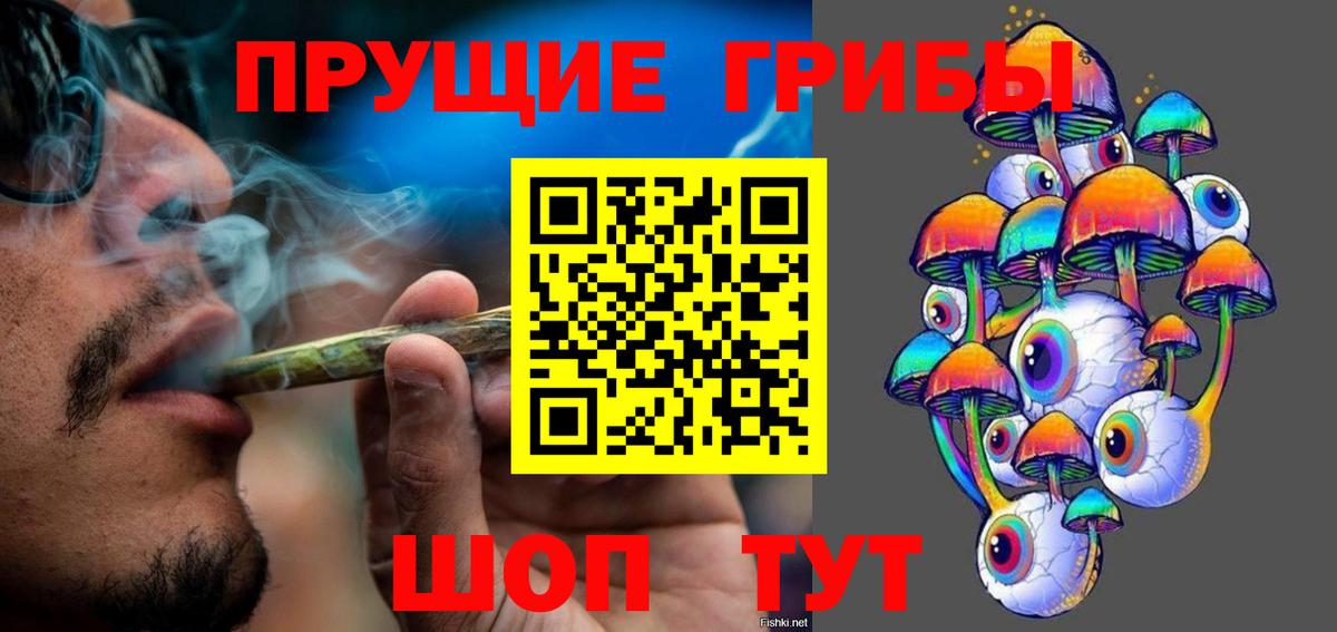Галлюциногенные грибы Psilocybe Ханты-Мансийск
